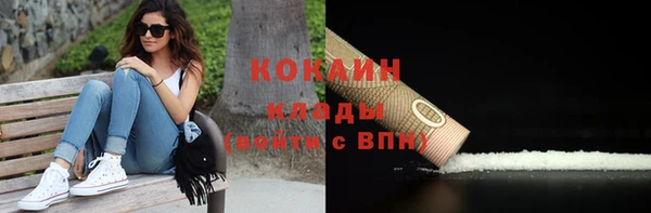 твердый Кукмор