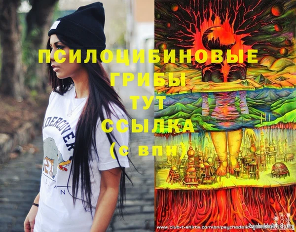 первитин Красноперекопск
